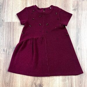 Zara Maroon Sweater Dress with Beads Sz S